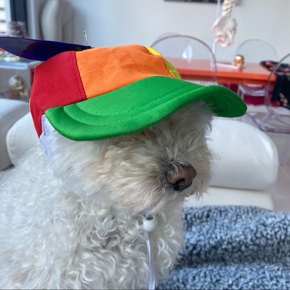❤️ Dog Propeller Rainbow Color Block Baseball Cap Hat Visor - Picture 5 of 6